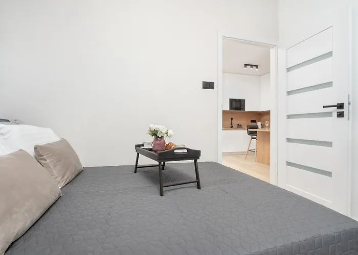 Przytulne Apartamenty W Rzeszowie Z Widokiem Na Miasto By Noclegi Renters